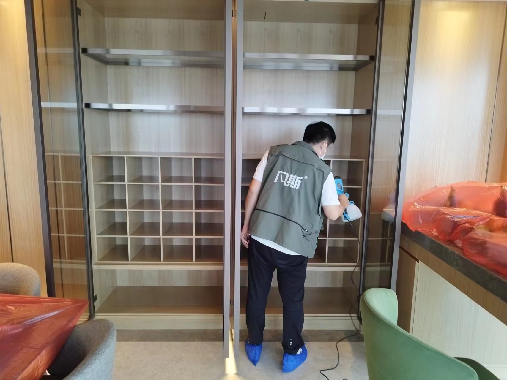 家里綠植的選購技巧，凈化室內(nèi)空氣